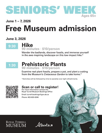 SeniorsWeek2026_Poster