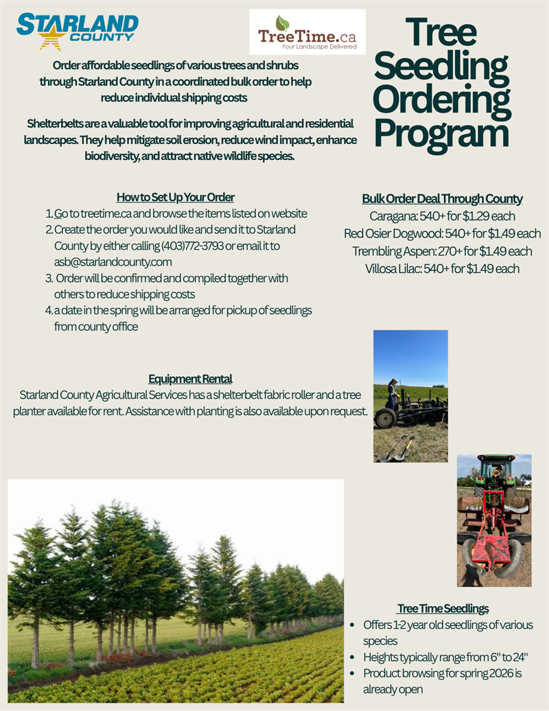 Tree_Seedling_Ordering_Program_Poster