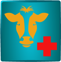 Med Cow